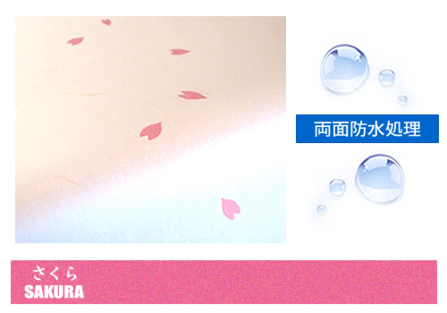 ������(�Ԃт�Z���^�[�j/���ʖh�����H